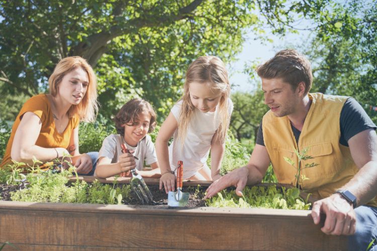 Veerkracht: De sleutel tot succes voor je kind